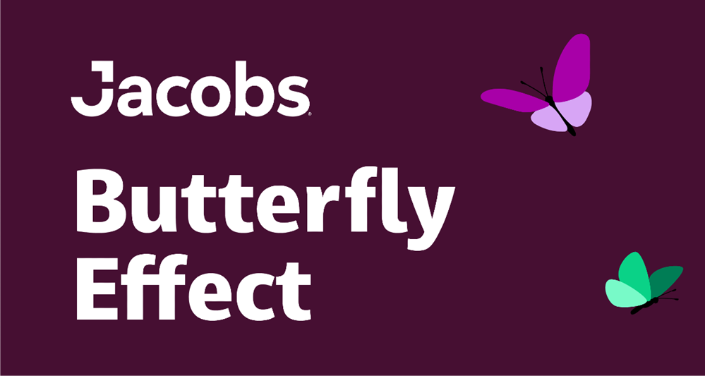 The Butterfly Effect, by Jacobs