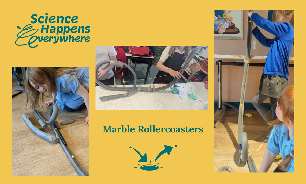 Marble Rollercoasters
