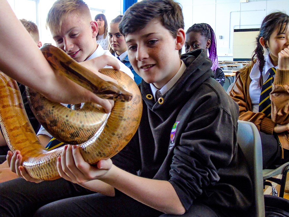 Biomimicry Show by Zoolab and EngineeringUK