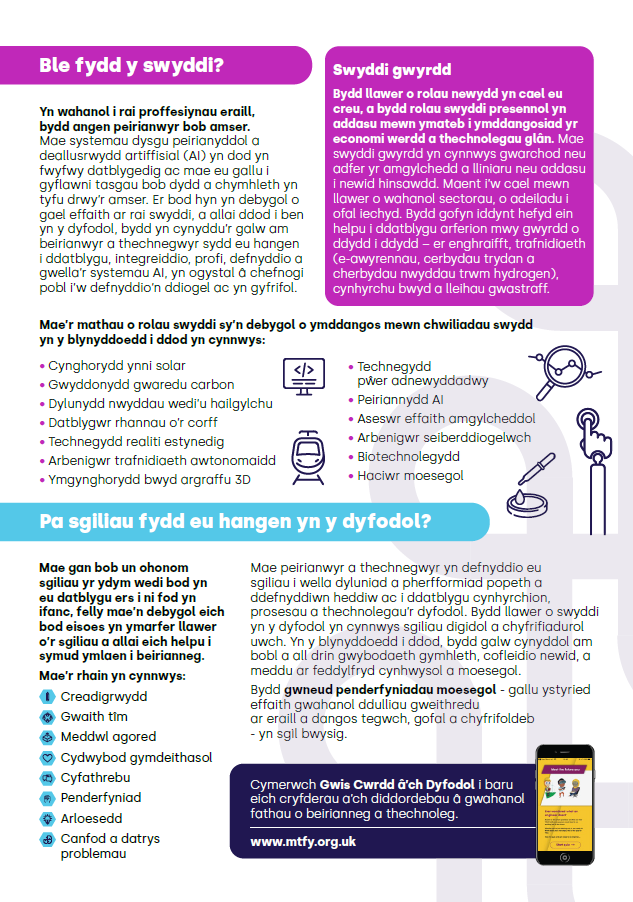 Careers Resource Welsh Key To The Future Leaflet Summary Image