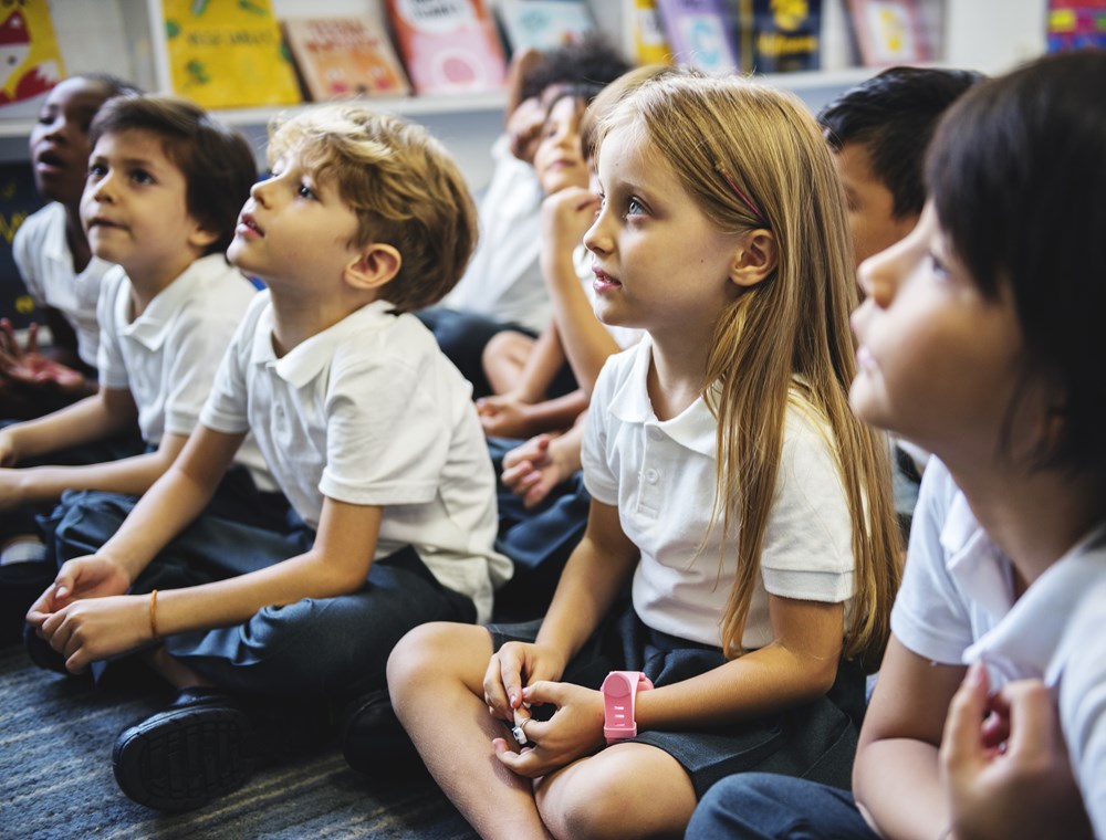 Primary 2