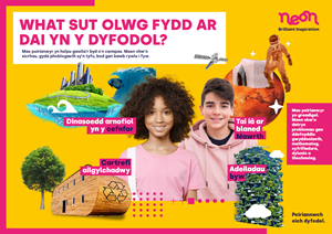 Careers Resource Primary Poster Welsh 1